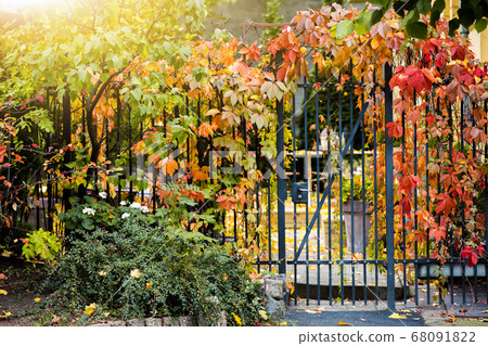 Autumn city street Autumn city street 68091822