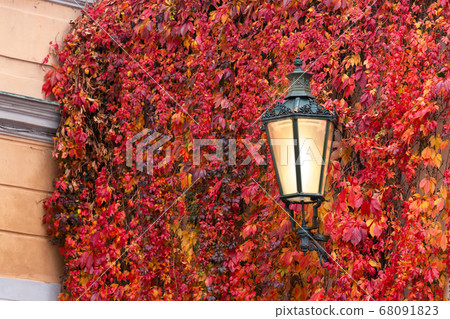 Vintage lantern autumn Vintage lantern autumn 68091823