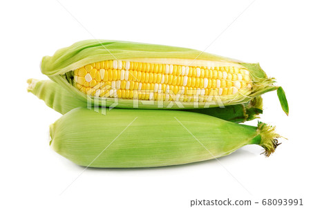 Fresh corn isolated on white background 68093991