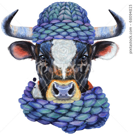 Watercolor illustration of black bull with white 68094815