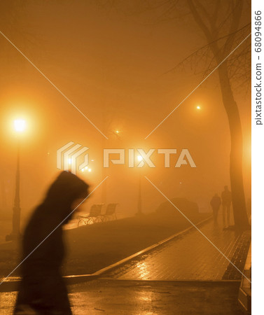 People park fog dark evening People park fog dark evening 68094866