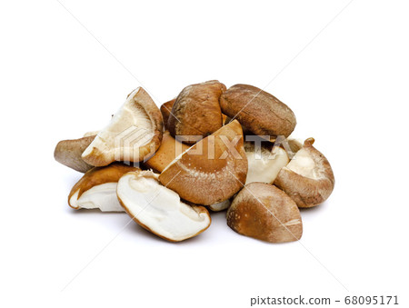 Shiitake mushroom on the White background 68095171