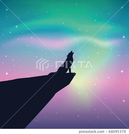 howling wolf looks in the colorful starry sky with aurora borealis 68095378