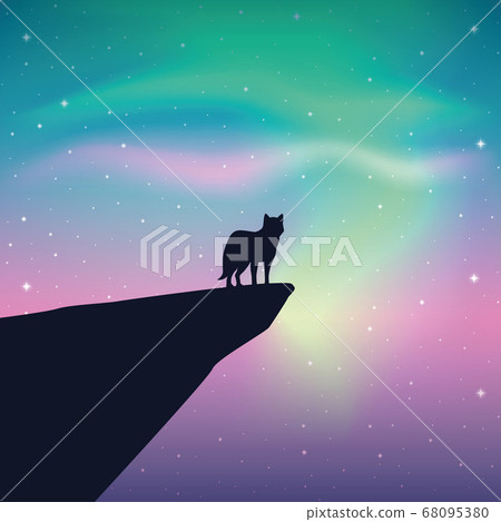wildlife wolf looks in the colorful starry sky with aurora borealis 68095380