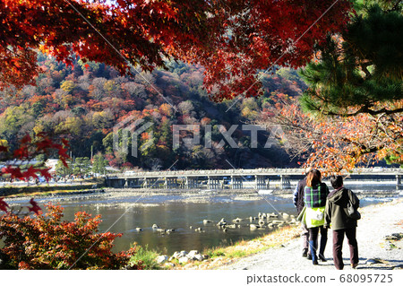 Parents and children walking along the embankment road of Katsura River while watching the autumn leaves of Arashiyama 68095725