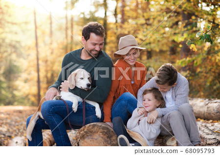 Beautiful young family with small children and dog sitting autumn forest. Beautiful young family with small children and dog sitting autumn forest. 68095793