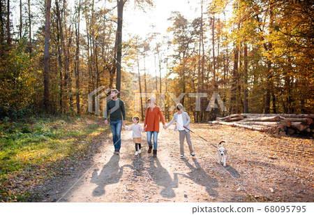 Front view of young family with small children and dog on a walk in autumn forest. Front view of young family with small children and dog on a walk in autumn forest. 68095795