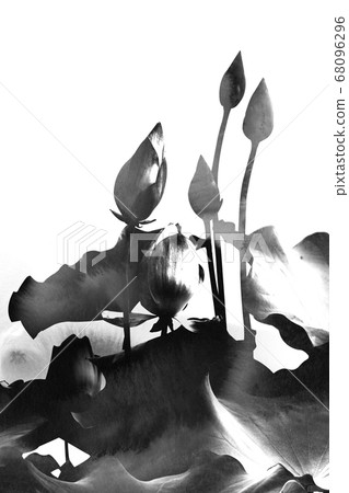 韓國美麗的蓮花，水彩背景 68096296