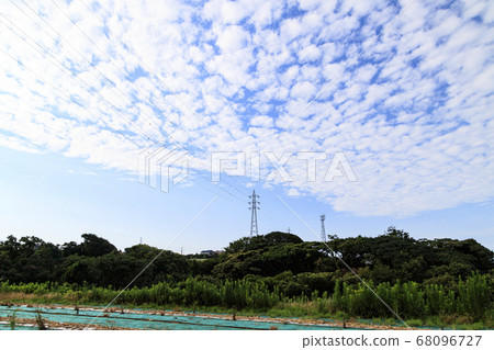 湘南三浦半島的休耕地（夏季） 68096727