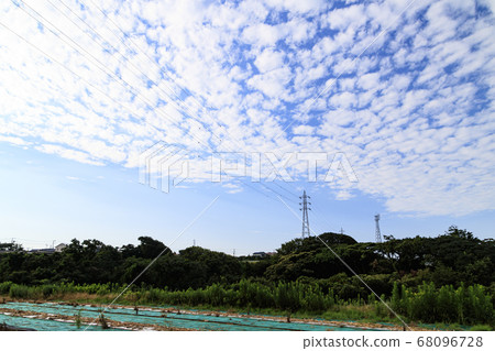 Fallow field in the Shonan Miura Peninsula (summer) Fallow field in the Shonan Miura Peninsula (summer) 68096728