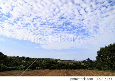 湘南三浦半島的休耕地(夏季) 湘南三浦半島的休耕地(夏季) 68096733