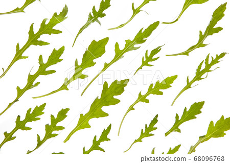 Green vegetable natural arugula pattern on a white background. Green vegetable natural arugula pattern on a white background. 68096768