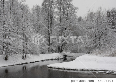 Winter landscape. Snow-covered trees in the park Kuzminki in Moscow. 68097493