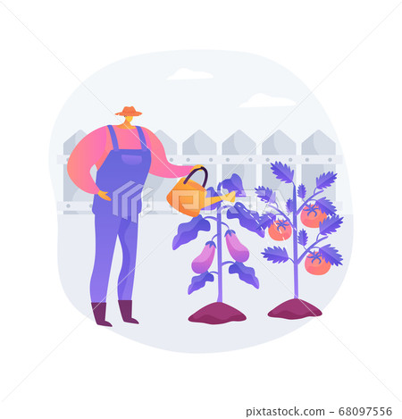 Growing vegetables abstract concept vector illustration. 68097556