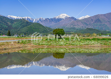 [Nagano Prefecture] Mt. Jonen reflected in the paddy fields of Azumino 68099026