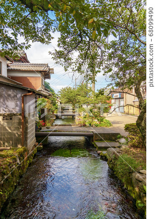 梅花藻類（滋賀縣滋賀縣八月） 68099490