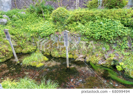 梅花藻類（滋賀縣滋賀縣八月） 68099494