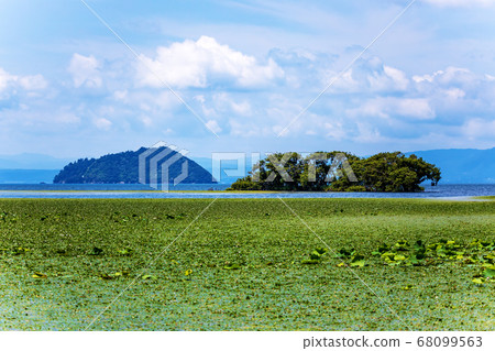 Suren (August Lake Biwa sunny) 68099563