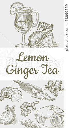 Ginger tea poster. Chopped rhizome or root, Fresh plant, Bag and tea in glass cup. Vector Engraved 68099569