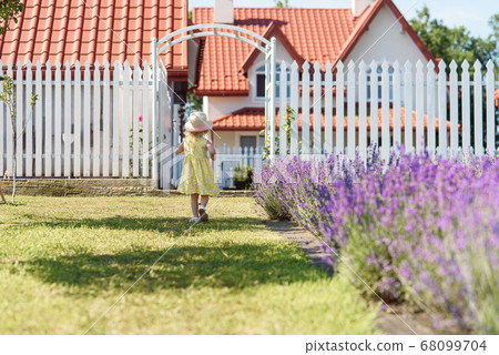 Back view of little girl in yellow summer dress and straw hat walks at the house backyard with a white wooden fence and lavender garden. Back view of little girl in yellow summer dress and straw hat walks at the house backyard with a white wooden fence and lavender garden. 68099704