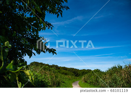 鄉村小路 68101119