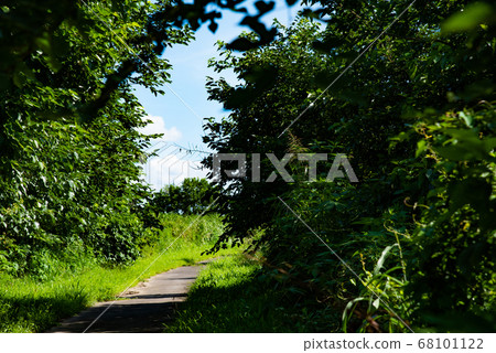 鄉村小路 68101122