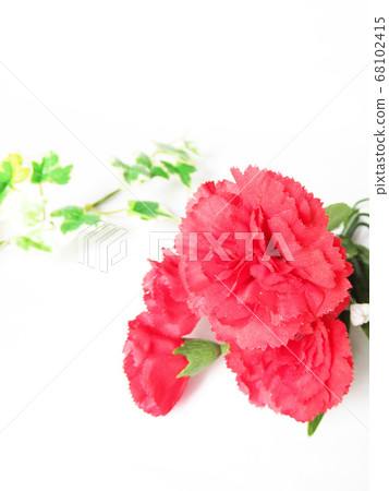 Carnation Carnation 68102415