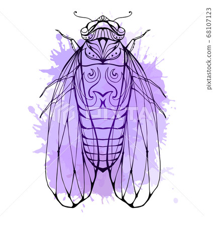 Illustration cicada with boho pattern and watercolor splashes. Vector element  68107123