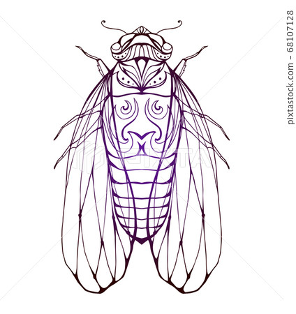 Illustration cicada with boho pattern. Vector element 68107128