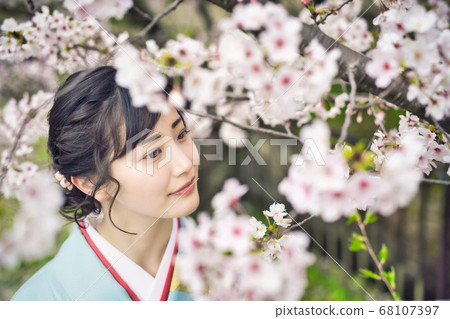 Kimono woman Kyoto Sakura Kimono woman Kyoto Sakura 68107397