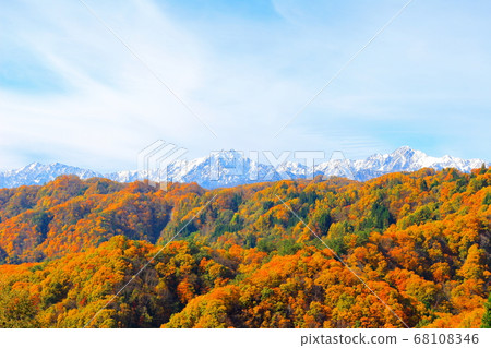 美麗的北阿爾卑斯山2008：信州2008北阿爾卑斯山的秋葉和秋葉 68108346
