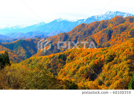 Beautiful Northern Alps 2008: Autumn leaves of Shinshu 2008 Northern Alps and autumn leaves Beautiful Northern Alps 2008: Autumn leaves of Shinshu 2008 Northern Alps and autumn leaves 68108359
