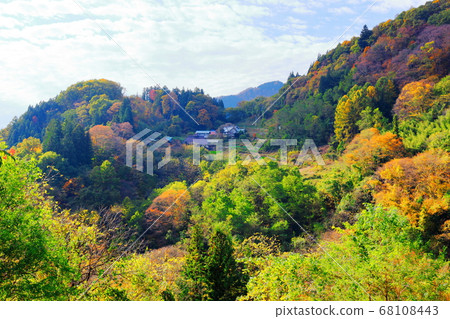 美麗的北阿爾卑斯山2008：信州2008北阿爾卑斯山的秋葉和秋葉 68108443