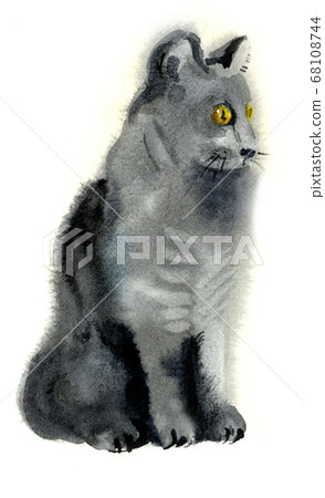 Gray cat sits and looks out for prey. Yellow eyes carefully look into the distance. Gray cat sits and looks out for prey. Yellow eyes carefully look into the distance. 68108744