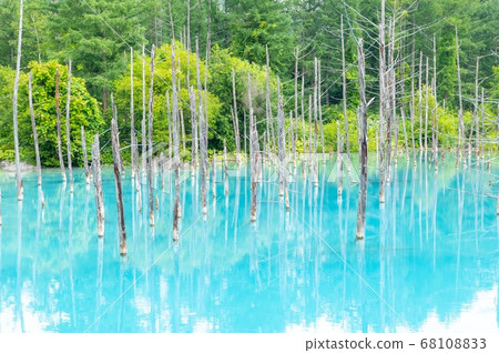 日本，北海道，藍塘 68108833