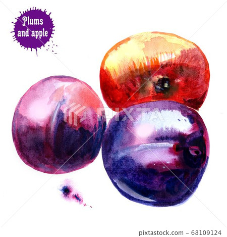 Separate fruits. Red apple and blue plums on white background 68109124