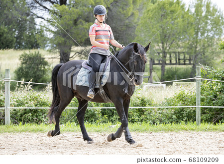 riding girl and horse riding girl and horse 68109209