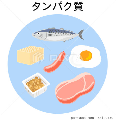 五種營養蛋白質食品 五種營養蛋白質食品 68109530