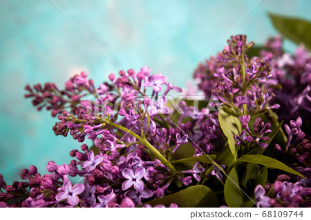 Lilac flowers bouquet on emerald background. Stylish floral greeting card. Happy mothers day. Lilac flowers bouquet on emerald background. Stylish floral greeting card. Happy mothers day. 68109744