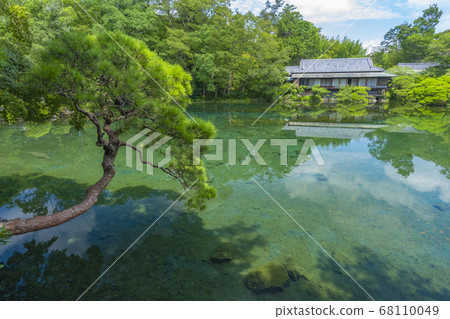 Rakujuen Obama Pond [Shizuoka Prefecture Mishima City] 68110049