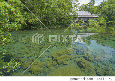 Rakujuen Obama Pond [Shizuoka Prefecture Mishima City] 68110069