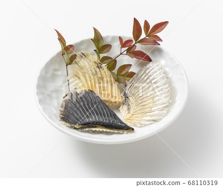Tile fish fin 68110319