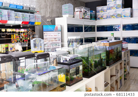 Large assortment of goods for aquarists and bird fanciers in modern pet shop Large assortment of goods for aquarists and bird fanciers in modern pet shop 68111433