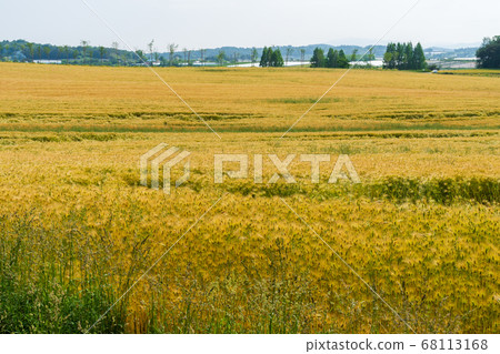 Gonhang-gun，Jeonbuk 68113168