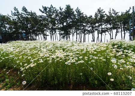 Gappo Beach, Buan-gun, Jeonbuk Gappo Beach, Buan-gun, Jeonbuk 68113207