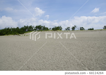 Vast sand dunes along the coast 68114264