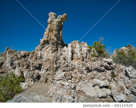 A white brown tuff surrounded by shrubs A white brown tuff surrounded by shrubs 68114320