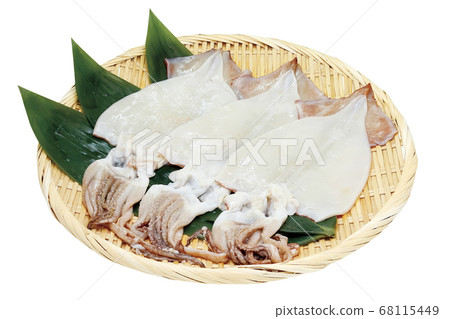 Squid dried overnight_01 (with pass) 68115449