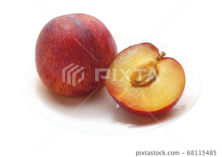 貴陽梅花_08（通過） 68115485