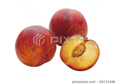 貴陽梅花_09（通過） 68115486